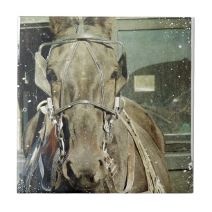 Azulejo De Cerámica Grunge Amish Buggy Horse