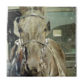 Azulejo De Cerámica Grunge Amish Buggy Horse