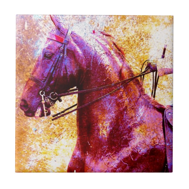 Azulejo De Cerámica Grunge de la silla de ruedas (Frente)