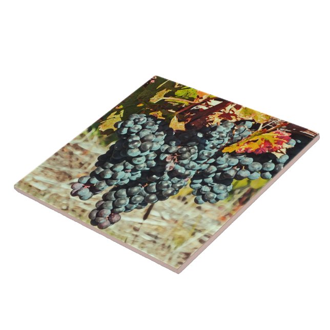 AZULEJO DE CERÁMICA "GRUPO DE GRIPOS QUE BASAN DE VINO" CERAMIC HASTA (Lado)