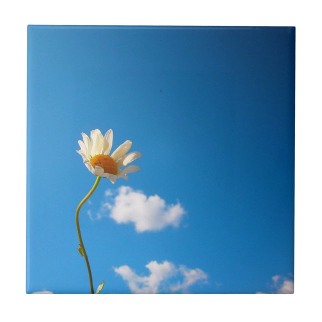 Azulejo De Cerámica Grytunderlägg Daisy (Frente)