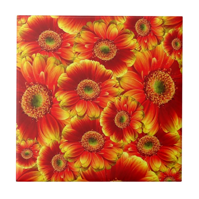 Azulejo De Cerámica Gslow Gerbera Daisies (Frente)