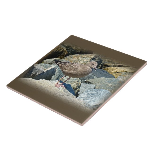 Azulejo De Cerámica Gull Juvenil Grande Con El Fondo Negro (Lado)