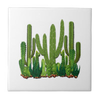 Hábitat de Sonoran