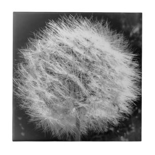 Azulejo De Cerámica Hacer un mosaico de deseos