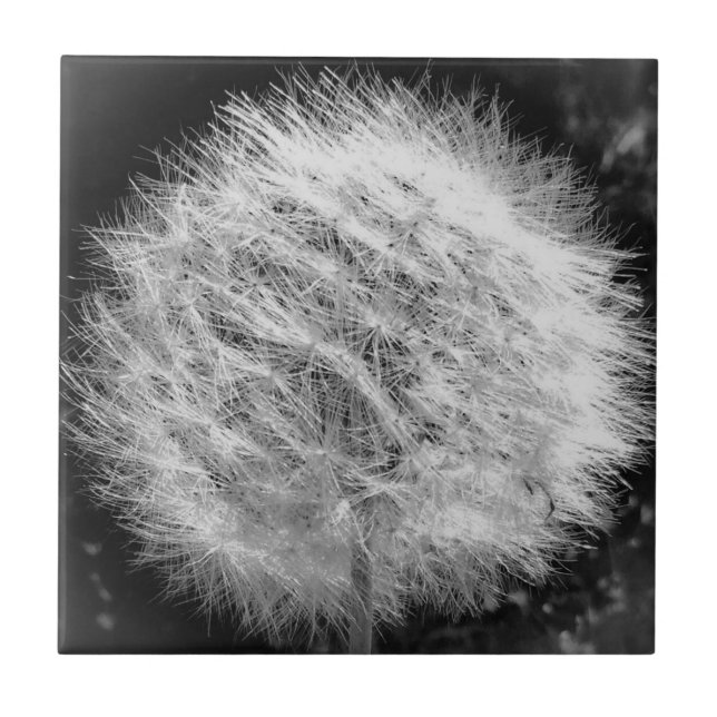 Azulejo De Cerámica Hacer un mosaico de deseos (Frente)