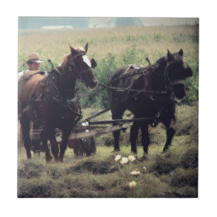 Azulejo De Cerámica Haciendo heno con caballos