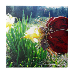 Azulejo De Cerámica Hadas en los Daffodils