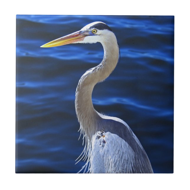 Azulejo De Cerámica Hank la garza (Frente)