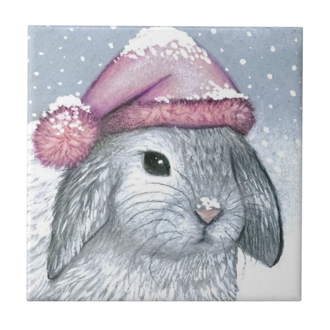 Azulejo De Cerámica Hare 14 rabbit (Frente)