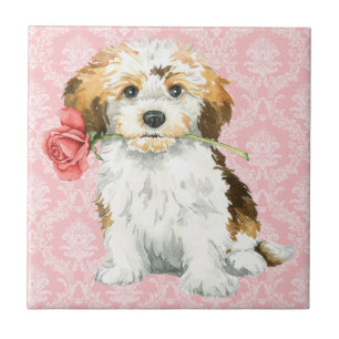 Azulejo De Cerámica Havanese subió tarjeta del día de San Valentín