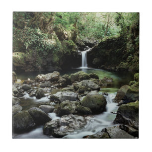 Azulejo De Cerámica Hawái, Maui, Una cascada fluye hacia la Piscina Az