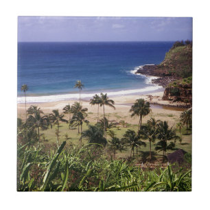 Azulejo De Cerámica Hawaii