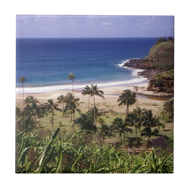 Azulejo De Cerámica Hawaii (Frente)