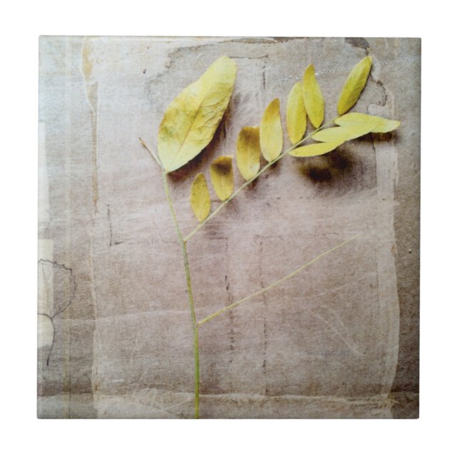 Azulejo De Cerámica Herbario V (Frente)