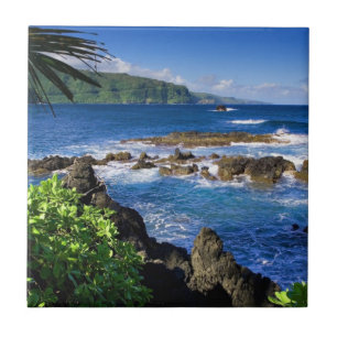 Azulejo De Cerámica Hermosa Hawaii