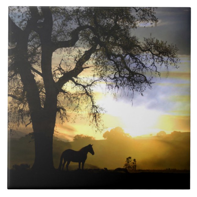 Azulejo De Cerámica Hermosa tela de arte de caballo y roble (Frente)