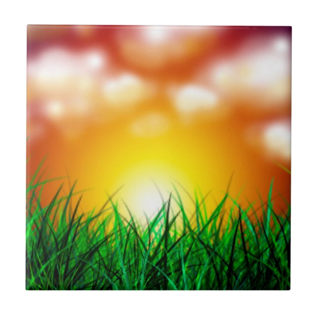 Azulejo De Cerámica Hermoso amanecer sobre un campo de hierba (Frente)