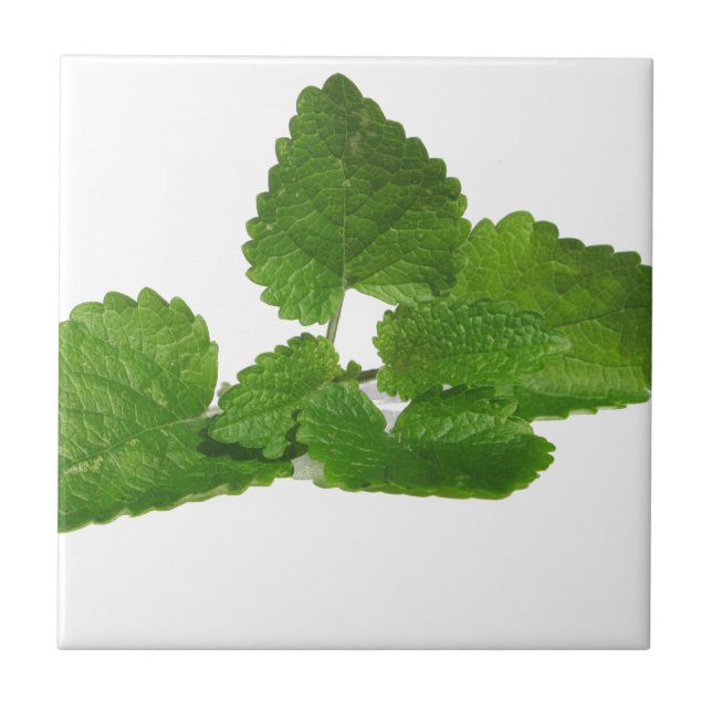 Azulejo De Cerámica Hoja de la menta (Frente)