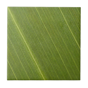 Azulejo De Cerámica Hoja de palmera
