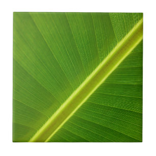 Azulejo De Cerámica Hoja de plátano