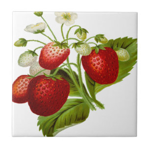 Azulejo De Cerámica Hojas de hojas de hoja de fruta