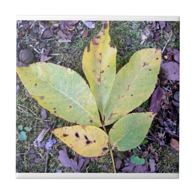 Azulejo De Cerámica Hojas de otoño, mosaico cerámico (Frente)
