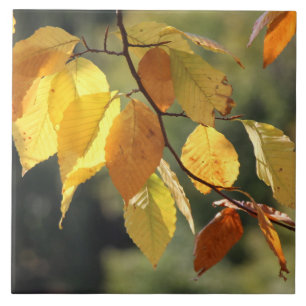 Azulejo De Cerámica Hojas de otoño Mosaico Cubierta cerámica