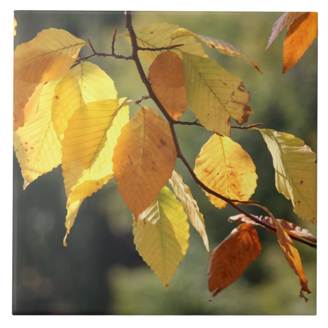 Azulejo De Cerámica Hojas de otoño Mosaico Cubierta cerámica (Frente)