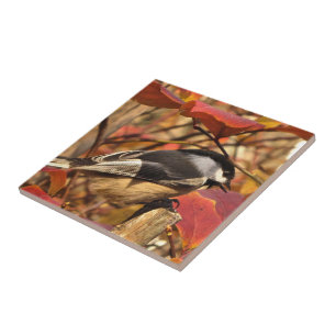 Azulejo De Cerámica Hojas de otoño rosadas con el pájaro del Chickad