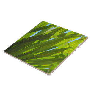 Azulejo De Cerámica Hojas Verdes, Luz Solar y Cielo Azul