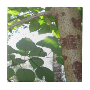Azulejo De Cerámica hojas verdes y tronco de árbol con corteza fresca