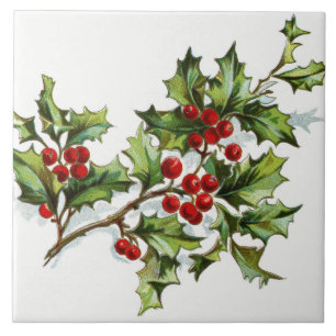 Azulejo De Cerámica HollyBerries20150801