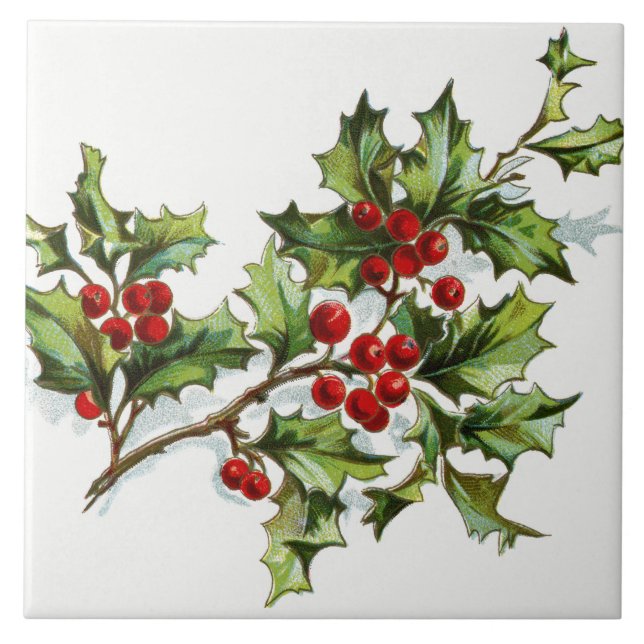 Azulejo De Cerámica HollyBerries20150801 (Frente)