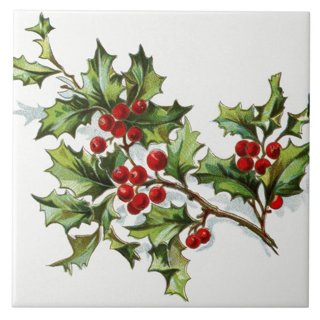 Azulejo De Cerámica HollyBerries20150802 (Frente)