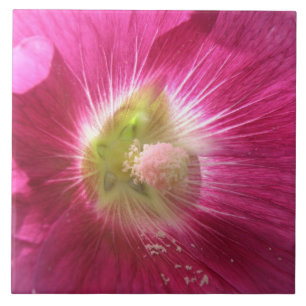 Azulejo De Cerámica Hollyhock Pink Deep Pink Tile