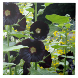 Azulejo De Cerámica Hollyhocks negro