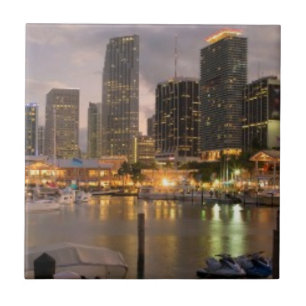 Azulejo De Cerámica Horizonte financiero de Miami en la oscuridad