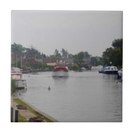 Azulejo De Cerámica Horning en el río Bure
