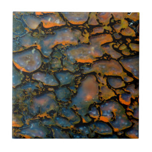 Azulejo De Cerámica Hueso de dinosaurio petrificado naranja