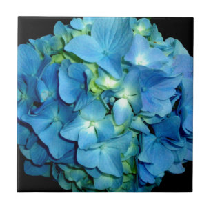 Azulejo De Cerámica Hydrangea azul