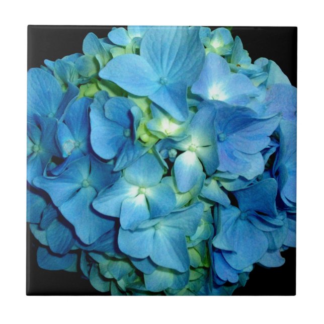 Azulejo De Cerámica Hydrangea azul (Frente)