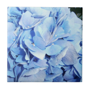 Azulejo De Cerámica Hydrangea de los azules claros