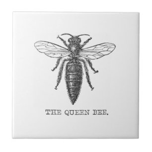 Azulejo De Cerámica Ilustración antigua de insecto bug abeja reina