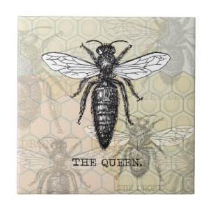 Azulejo De Cerámica Ilustración antigua de insecto bug abeja reina