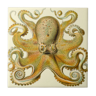 Azulejo De Cerámica Ilustración antigua de pulpo monstruo marino