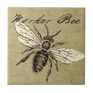 Azulejo De Cerámica Ilustración Antigüedad Insecto Abeja Obrera Vintag