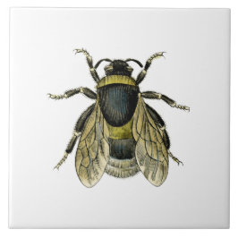 Azulejo De Cerámica Ilustracion antiguo de la abeja