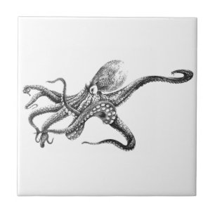 Azulejo De Cerámica Ilustracion blanco y negro del pulpo