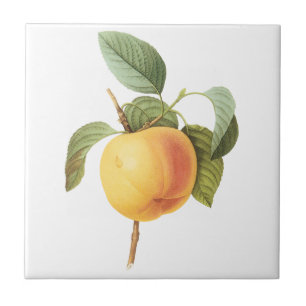 Azulejo De Cerámica Ilustración de alimentos de frutas vintage, manzan